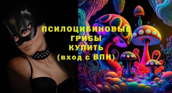 МДПВ Волоколамск