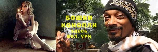 МДПВ Волоколамск