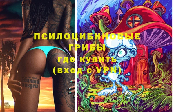 МДПВ Волоколамск