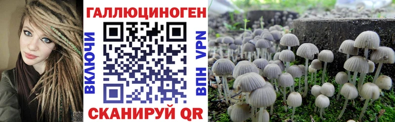 Галлюциногенные грибы MAGIC MUSHROOMS  Нижнекамск 